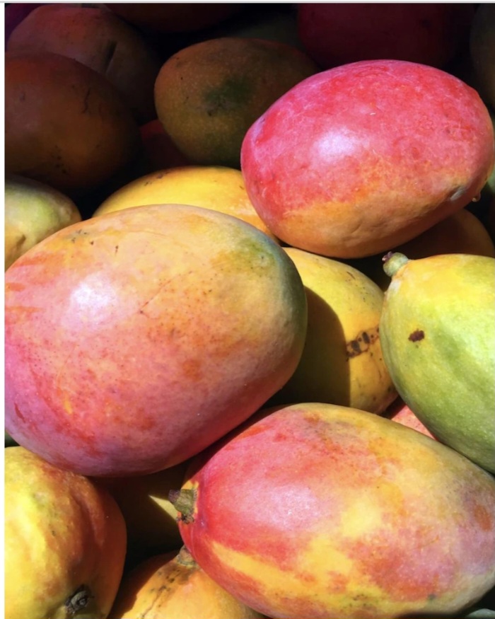 Mango 